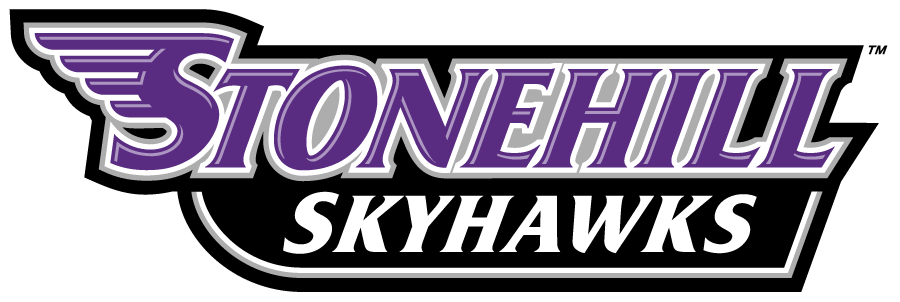 Stonehill Skyhawks 2017-Pres Wordmark Logo diy iron on heat transfer